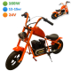 Μίνι Σκούτερ για Παιδιά Harley Baby C12B